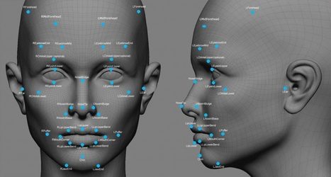 Customs And Border Protection Seeks Biometric ID For All Major U.S. Airports Within 4 Years | Iris Scans and Biometrics | Scoop.it