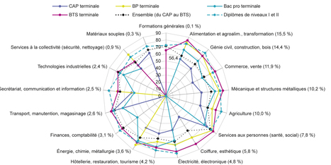 Le niveau de formation et de diplôme demeure toujours déterminant dans l'insertion des apprentis | Communotic - Multimodalité | Scoop.it