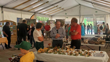 Saint-Lary-Soulan. André Mir engage la commune lors des 24 h pour la biodiversité | Vallées d'Aure & Louron - Pyrénées | Scoop.it