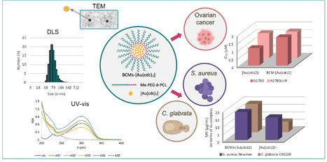 Antitumoral and Antimicrobial Activities of Block Copolymer Micelles Containing Gold Bisdithiolate Complexes | iBB | Scoop.it