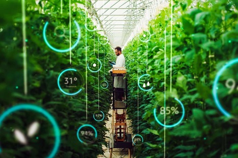 MIDDLE EAST: How technology is reshaping agriculture in the Middle East  | PAYS DU GOLFE | Scoop.it