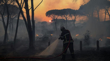 TRIBUNE. Crises environnementales : 1 400 scientifiques appellent les candidats à la présidentielle et les médias à sortir "des discours de l'inaction" | Vers la transition des territoires ! | Scoop.it