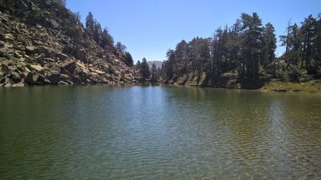 Prendre le frais au lac de l'Ours #Néouvielle | Vallées d'Aure & Louron - Pyrénées | Scoop.it