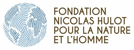 Recrutement | Fondation pour la Nature et l'Homme créée par Nicolas Hulot | Recrutement Emploi Environnement et ESS | Scoop.it