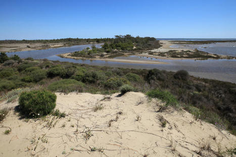 Hauts-de-France, Lacanau, Camargue... la montée des eaux devient critique | Vers la transition des territoires ! | Scoop.it