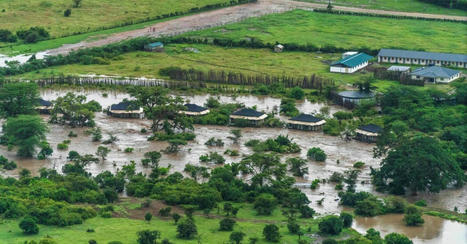 Flooding in a Kenyan Natural Reserve Forces Tourist Evacuation - The New York Times | Coastal Restoration | Scoop.it