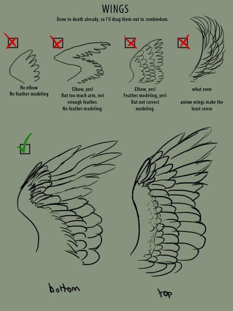 How To Draw Wings - Reference Guide | Drawing References and Resources | Scoop.it