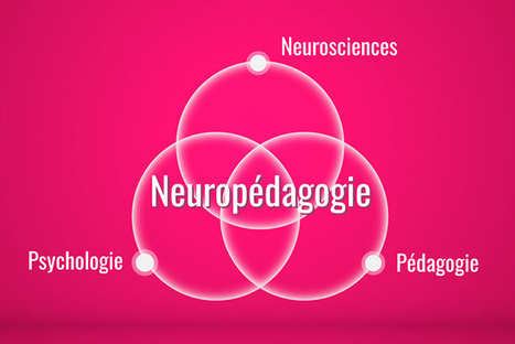 Qu'est-ce que la neuropédagogie ? | Communotic - Multimodalité | Scoop.it