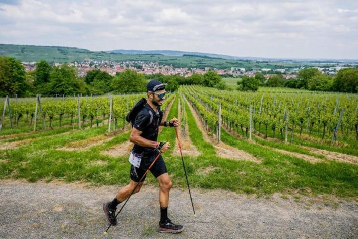 Trail Alsace Grand Est by UTMB : courir pour une bonne action, des "dossards solidaires" encore disponibles | Thématique Itinérance douce | Scoop.it