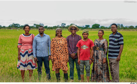 TANZANIA: Social Capital proves critical to success of System of Rice Intensification (SRI) farming in Tanzania | SRI Global News: February - April 2024 **sririce -- System of Rice Intensification | Scoop.it