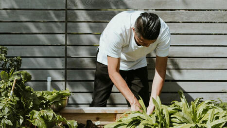 Voici pourquoi le jardinage est si bon pour le corps et l'esprit | Attitude BIO | Scoop.it