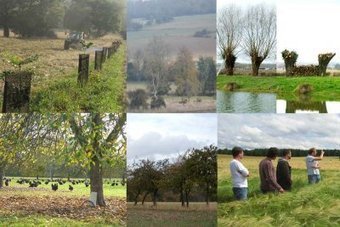 CAUE 78 : Paysage et agriculture durables. L’agroforesterie dans les Yvelines ? | Paysage - Agriculture | Scoop.it
