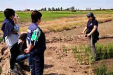 CHILE: The System of Rice Intensification (SRI) in Chile        --SRI-Rice Website | SRI Global News: February - April 2024 **sririce -- System of Rice Intensification | Scoop.it