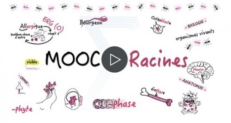 Des Mooc d'orientation à la rescousse des lycéens | Easy MOOC | Scoop.it