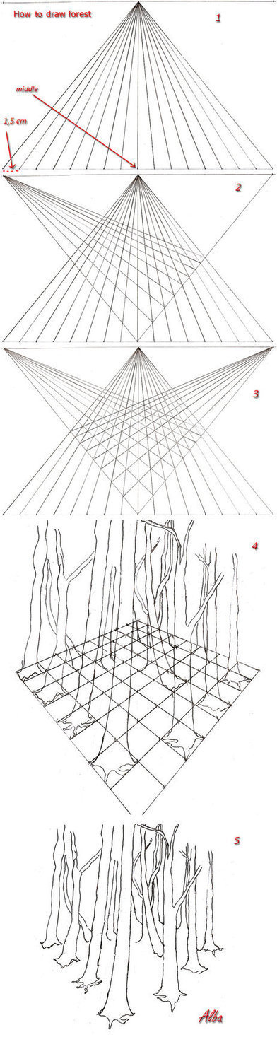 How to draw forest in perspective | Drawing References and Resources | Scoop.it