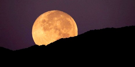 4 Astronomical Events You Don't Want to Miss in November - EcoWatch.com | Apollyon | Scoop.it