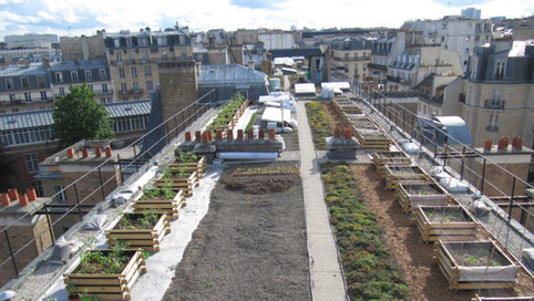 « Paris se mange ! » : 20 lieux incontournables de l’agriculture urbaine | Veille territoriale AURH | Scoop.it