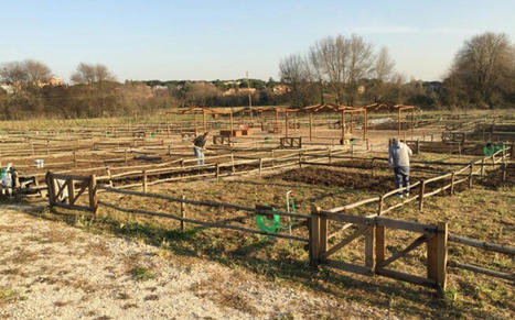 Resilient urban and peri-urban agriculture | Energy Transition in Europe | www.energy-cities.eu | Scoop.it