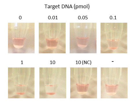 Detection of DNA on Cellulose Microparticles Using ZZ-CBM Fusions and Gold Nanoparticles | iBB | Scoop.it