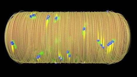 Harvard scientists uncover an exploitable Achilles' heel common to most bacteria | Longevity science | Scoop.it