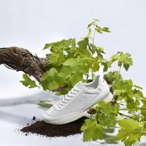 Le Coq Sportif propose une basket à partir de raisin - Actualité : innovations (#1240317) | Eco-conception | Scoop.it