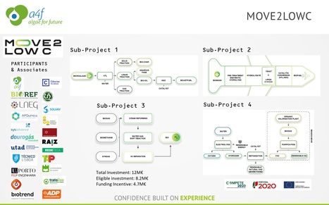 iBB Contributes to the Move2LowC Project | iBB | Scoop.it