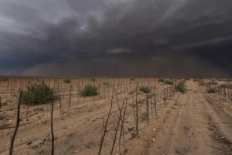 Texas drought has deepened amid this year’s brutal heat - KSAT.com | Agents of Behemoth | Scoop.it