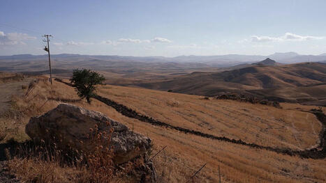 Droughts, desertification, heatwaves: the climate crisis hits SICILY hard | MED-Amin network | Scoop.it