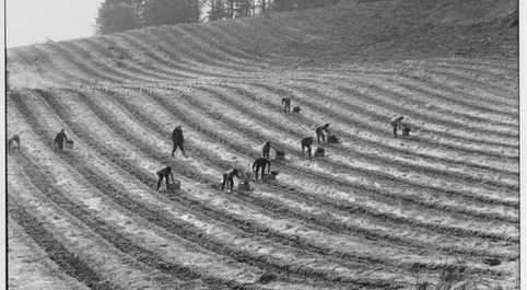 Publication Alim'agri - Document de travail N°11 La population paysanne - repères historiques | Veille territoriale AURH | Scoop.it