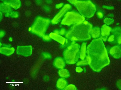 Characterization of a Library of Type A CBMs and Structure of Spirochaeta thermophila CBM64 | iBB | Scoop.it