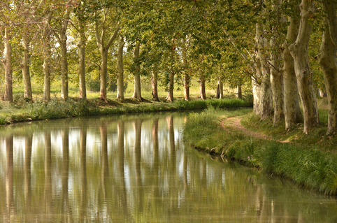 Canal du midi - berges et paysages seront classés | Veille territoriale AURH | Scoop.it