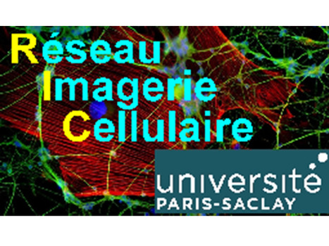 Mise en ligne des vidéos de la ''Conférence Microscopie à Feuille de Lumière'" du  4 Octobre 2017, Villejuif | Life Sciences Université Paris-Saclay | Scoop.it