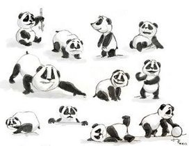 HaJü's daily news: Panda Sketches Vol. 04 | Drawing References and Resources | Scoop.it