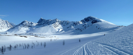 Journée internationale de la montagne le 11 décembre | Vallées d'Aure & Louron - Pyrénées | Scoop.it