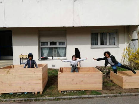 Installation de bacs potagers boulevard de St Dié : tout le monde s'y met ! | Gérardmer info | La SELECTION du Web | CAUE des Vosges - www.caue88.com | Scoop.it