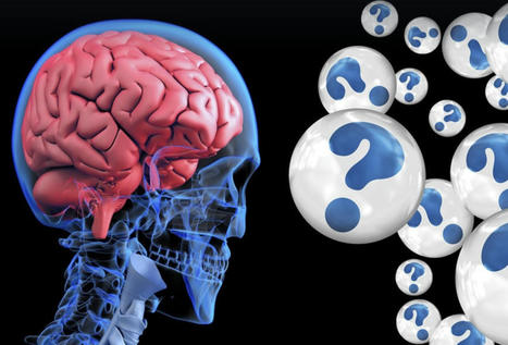 La "trousse cerveau" pour expliquer le fonctionnement neuropsychologique | Veille en Santé mentale & Psychiatrie | Scoop.it