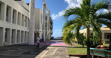 Université des Antilles : le département scientifique inter facultaire devient une faculté de plein exercice | Revue Politique Guadeloupe | Scoop.it