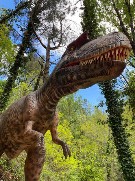 Cévennes. Dinopedia devient le plus grand parc de dinosaures animés de France | Cévennes Infos Tourisme | Scoop.it