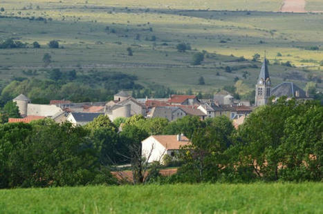 Comment aider les maires ruraux à accéder à l’ingénierie culturelle ? | Développement économique en milieu rural | Scoop.it