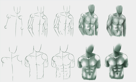 Male body study | Drawing References and Resources | Scoop.it