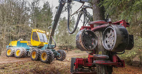 Les forêts françaises menacées pour du carburant d'avions | Aviation, climat et nuisances | Scoop.it