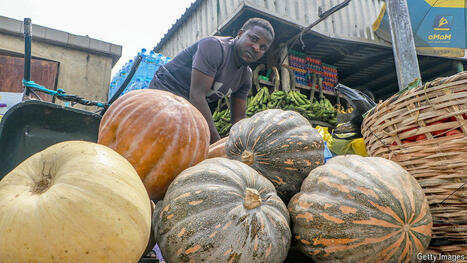 AFRICA: Soaring food-price inflation is hurting Nigeria’s poor | AFRIQUES | Scoop.it