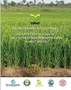 WEST AFRICA: How can West Africa Achieve Rice Self-Sufficiency? A New Publication offers Insights | SRI Global News: February - April 2024 **sririce -- System of Rice Intensification | Scoop.it