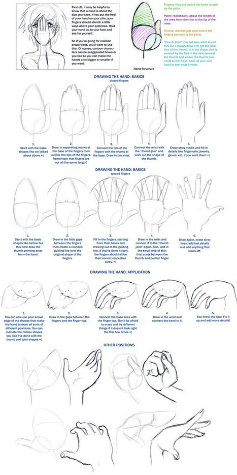 Hand Drawing Reference Guide | Drawing References and Resources | Scoop.it