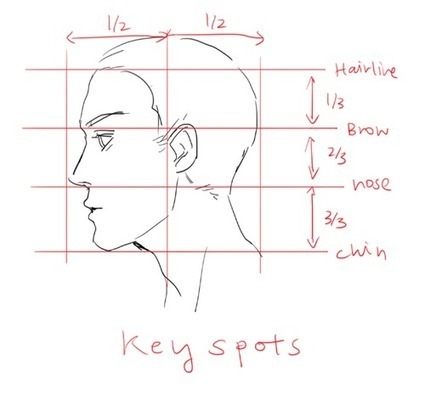 Profile Drawing Reference Guide | Drawing References and Resources | Scoop.it