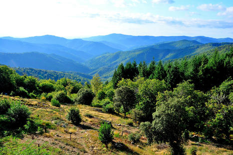 Les Cévennes, grandeur nature | Cévennes Infos Tourisme | Scoop.it