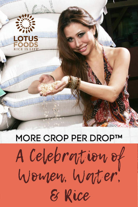 A Celebration of Women, Water, and Rice – Interview with Emily Sutanto | SRI Global News: February - April 2024 **sririce -- System of Rice Intensification | Scoop.it