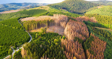 Haut conseil pour le climat : ce qu'il faut retenir de son rapport annuel | Vers la transition des territoires ! | Scoop.it