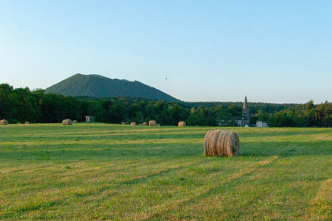 Rapport du Giec : L’agriculture est à la fois un fardeau et un rempart pour le changement climatique | Vers la transition des territoires ! | Scoop.it