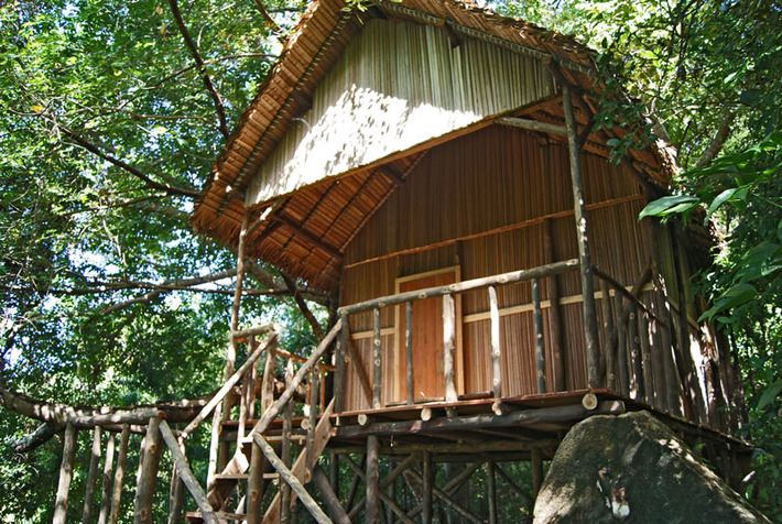 Maki Ecolos, des cabanes de charme au cœur de la forêt de Nosy Be | Découvrir, se former et faire | Scoop.it